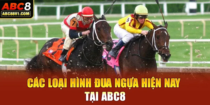 Các loại hình đua ngựa hiện nay tại ABC8