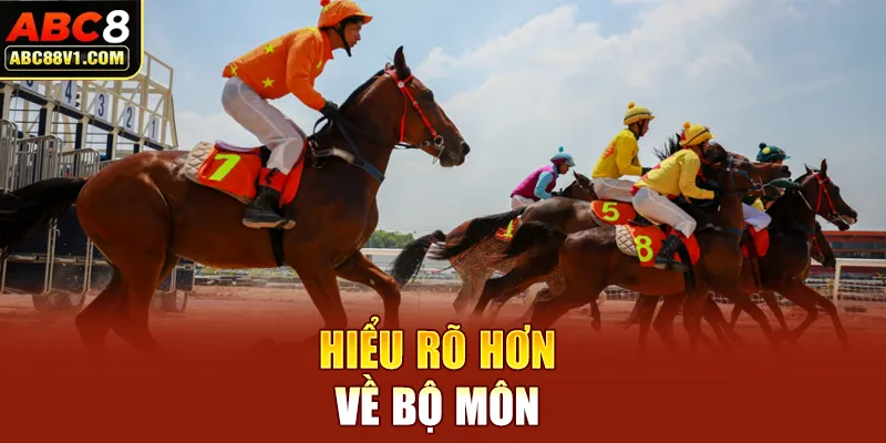 Hiểu rõ hơn về bộ môn 