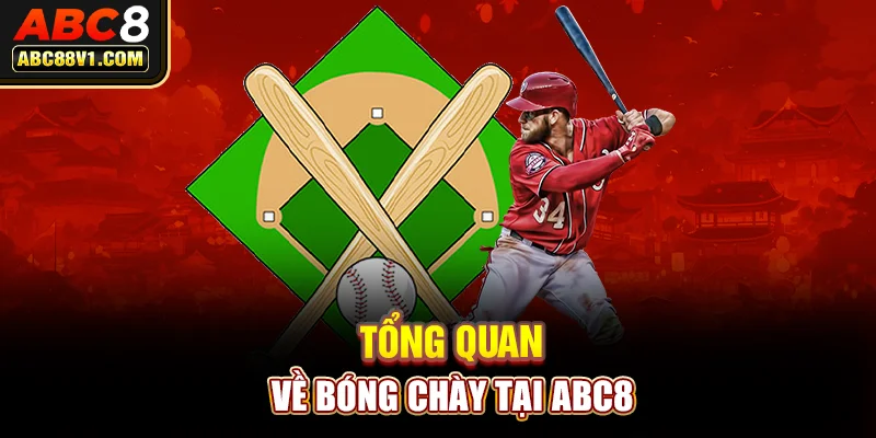 Tổng quan về bóng chày tại ABC8