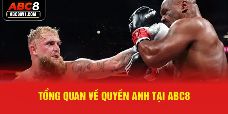 Tổng quan về quyền anh tại ABC8