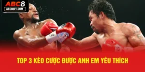 MMA - Cá Cược Kịch Tính Cùng Nhà Cái ABC8